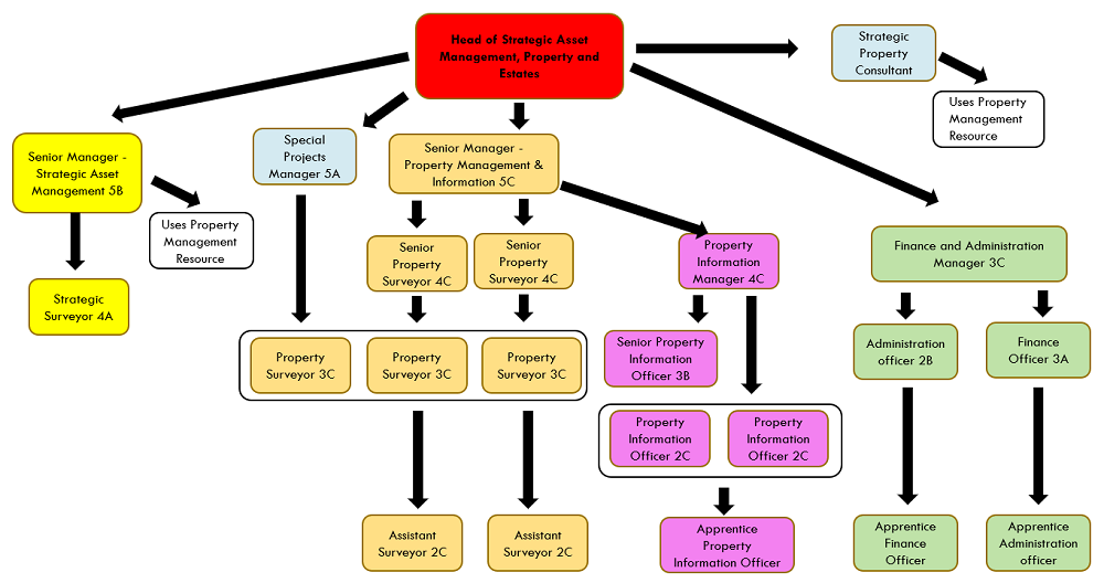 Structure chart for Strategic Asset Management, Property and Estates - full description below